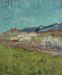 View of the Alpilles